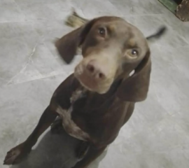 Ekran-Resmi-2026-04-09-14.00.50