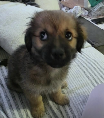 Ekran-Resmi-2026-04-09-14.02.14