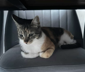 Ekran-Resmi-2026-04-09-14.04.18