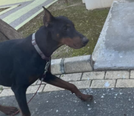 Ekran-Resmi-2026-04-09-14.05.43