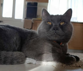 Ekran-Resmi-2026-04-09-14.10.55