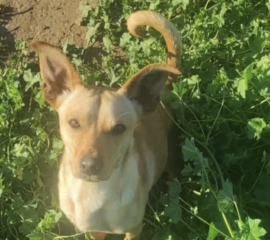 Ekran-Resmi-2026-04-09-14.12.04