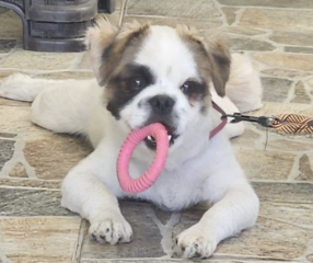 Ekran-Resmi-2026-04-09-14.16.39