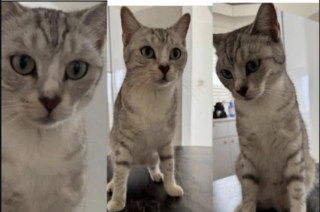 Ekran-Resmi-2026-04-09-14.17.53