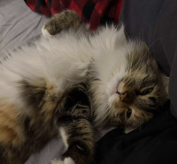 Ekran-Resmi-2026-04-09-14.23.45