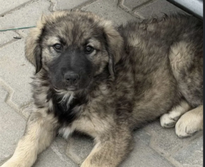 Ekran-Resmi-2026-04-09-14.25.15