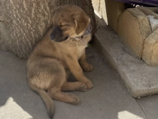 Ekran-Resmi-2026-04-09-14.39.29