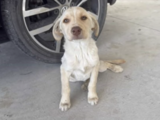 Ekran-Resmi-2026-04-09-14.42.58