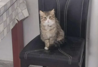 Ekran-Resmi-2026-04-09-14.44.46