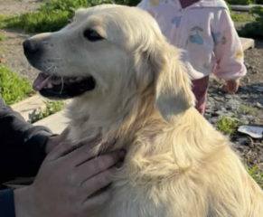 Ekran-Resmi-2026-04-09-15.07.29