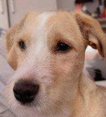 Ekran-Resmi-2026-04-09-15.09.01