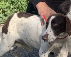 Ekran-Resmi-2026-04-09-15.11.31