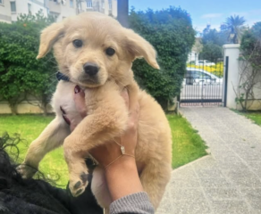 Ekran-Resmi-2026-04-09-15.13.15