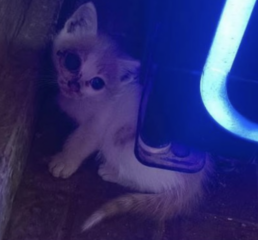 Ekran-Resmi-2026-04-09-15.36.23