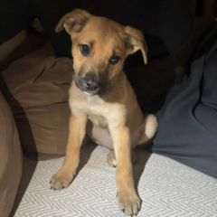 Ekran-Resmi-2026-04-09-15.38.13