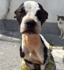 Ekran-Resmi-2026-04-09-15.39.25