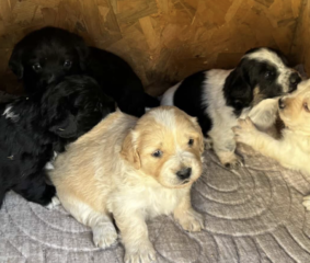 Ekran-Resmi-2026-04-09-15.40.56