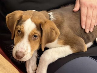 Ekran-Resmi-2026-04-09-15.42.12