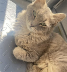 Ekran-Resmi-2026-04-09-15.43.46