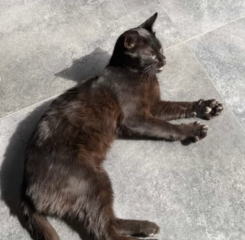 Ekran-Resmi-2026-04-09-15.45.21