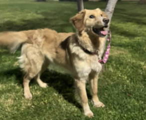 Ekran-Resmi-2026-04-09-15.47.21