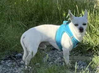 Ekran-Resmi-2026-04-09-16.59.21