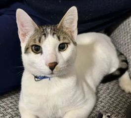 Ekran-Resmi-2026-04-09-17.03.25