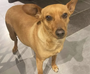 Ekran-Resmi-2026-04-09-17.08.37