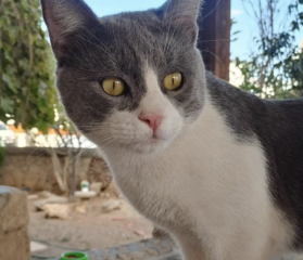 Ekran-Resmi-2026-04-09-17.09.51