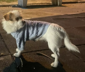 Ekran-Resmi-2026-04-09-17.10.59