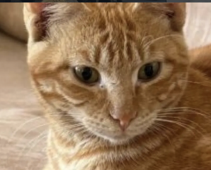 Ekran-Resmi-2026-04-09-17.17.15