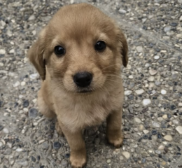 Ekran-Resmi-2026-04-09-17.23.16