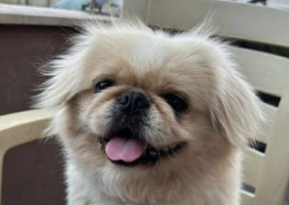 Ekran-Resmi-2026-04-09-19.12.24