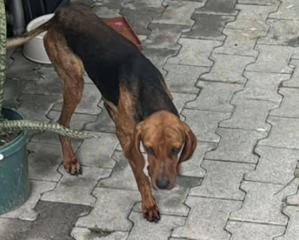 Ekran-Resmi-2026-04-09-19.13.45