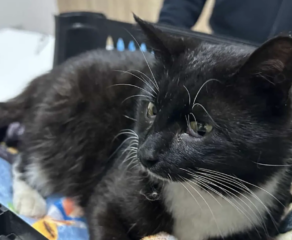 Ekran-Resmi-2026-04-09-19.15.02