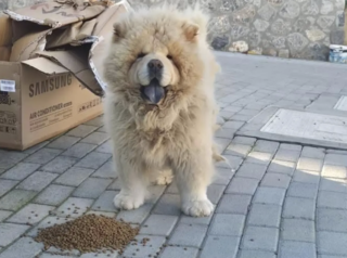 Ekran-Resmi-2026-04-09-19.41.48