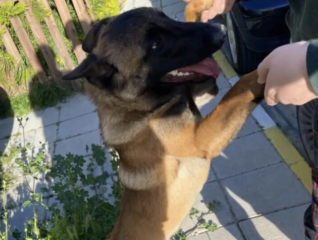 Ekran-Resmi-2026-04-09-19.50.20