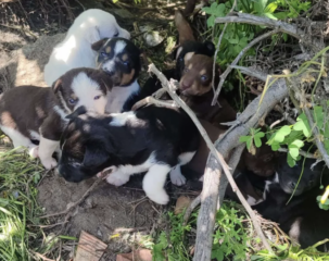 Ekran-Resmi-2026-04-09-19.51.22