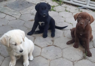 Ekran-Resmi-2026-04-09-19.52.24