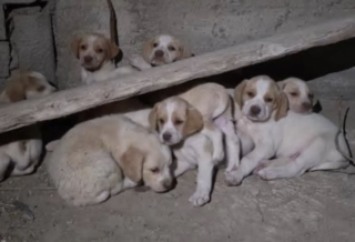 Ekran-Resmi-2026-04-09-19.53.46