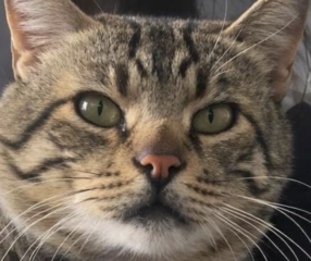 Ekran-Resmi-2026-04-09-19.59.39