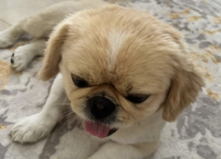 Ekran-Resmi-2026-04-09-20.00.59