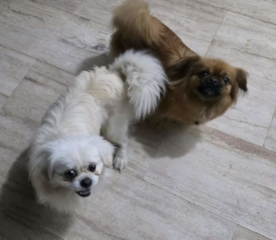 Ekran-Resmi-2026-04-09-20.04.05