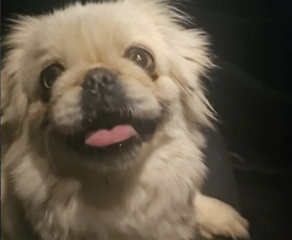 Ekran-Resmi-2026-04-09-20.05.53