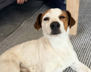 Ekran-Resmi-2026-04-09-20.07.12