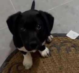 Ekran-Resmi-2026-04-09-20.08.19