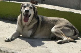 Ekran-Resmi-2026-04-09-20.09.26