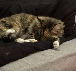 Ekran-Resmi-2026-04-09-20.12.59