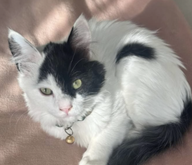 Ekran-Resmi-2026-04-09-21.32.22