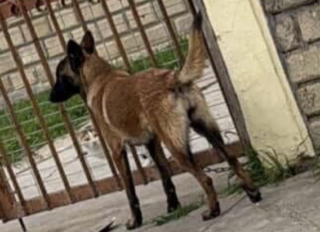 Ekran-Resmi-2026-04-09-21.33.11